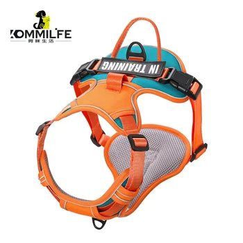 Personalized Adjustable Reflective Dog Harness 1