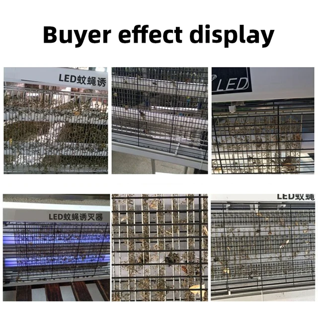 365-390Nm Szúnyoggyilkos Lámpa 5W Erőteljes Szúnyogriasztó Légykapó Légyek Ölnek Zapper Elektromos Ütés Megálló Dengue-Vírus - Image 2
