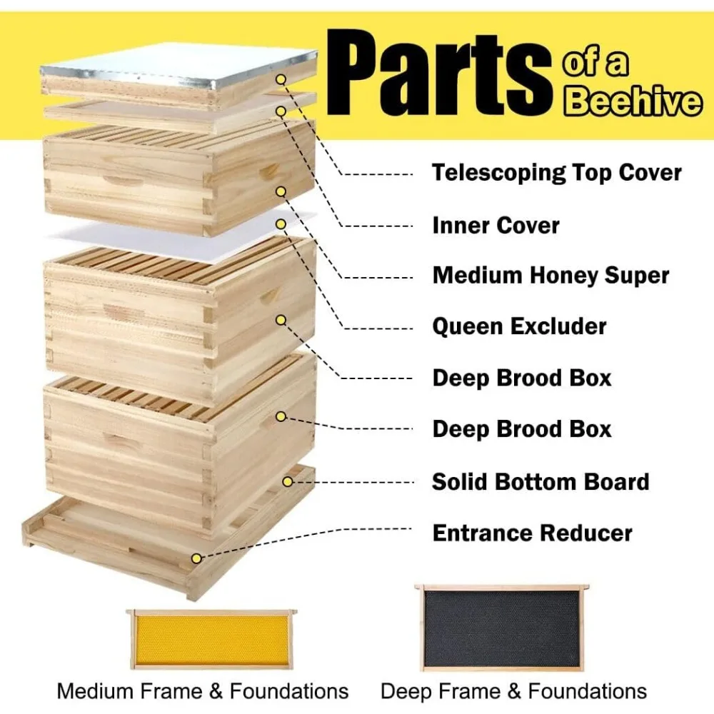10-Frame Complete Bee Hives and Supplies Starter Kit,Beehive Frames,2 Deep Bee Boxes & 1 Medium Super Box)