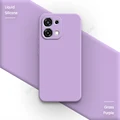Grass Purple