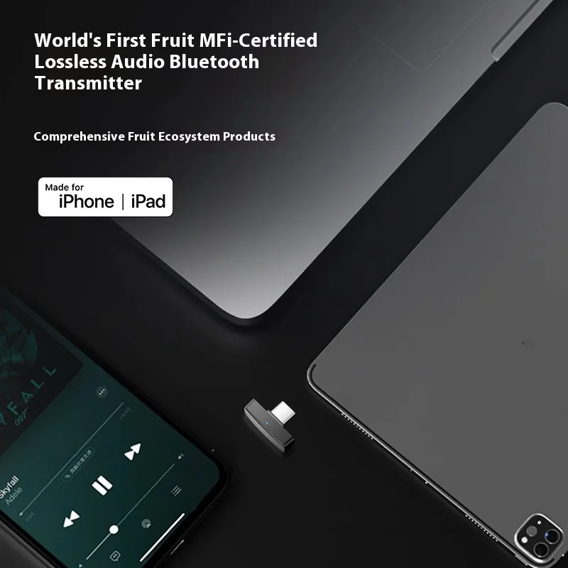 Questyle QCC 동글 프로 LDAC 무손실 블루투스 5.4 스냅드래곤 사운드 지원 AptX 송신기 동글 프로 LDAC 즐기기 선물