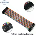 30cm Female-Male