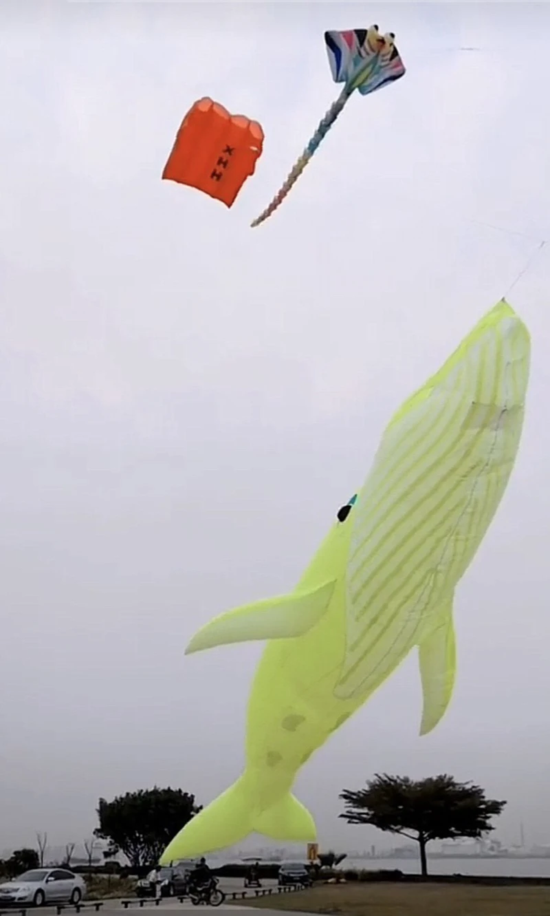 free shipping 17m shark kite flying whale kite pendant outdoor fun sports  parachute kites for adults kite wheel folding kites