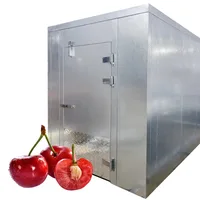 Stockage de fruits et légumes, salle fraîche réfrigérée, salle de stockage froide 2