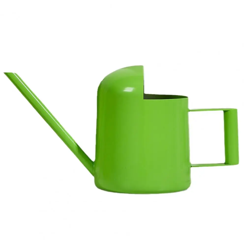 Mini Arrosoir De Grande Capacité En Acier Inoxydable De 1 L Avec Long Bec Verseur Pour Plantes Grasses, Plantes Grasses, Bonsaï, Fleurs D'extérieur