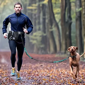 Dual Hands-Free Dog Leash 1
