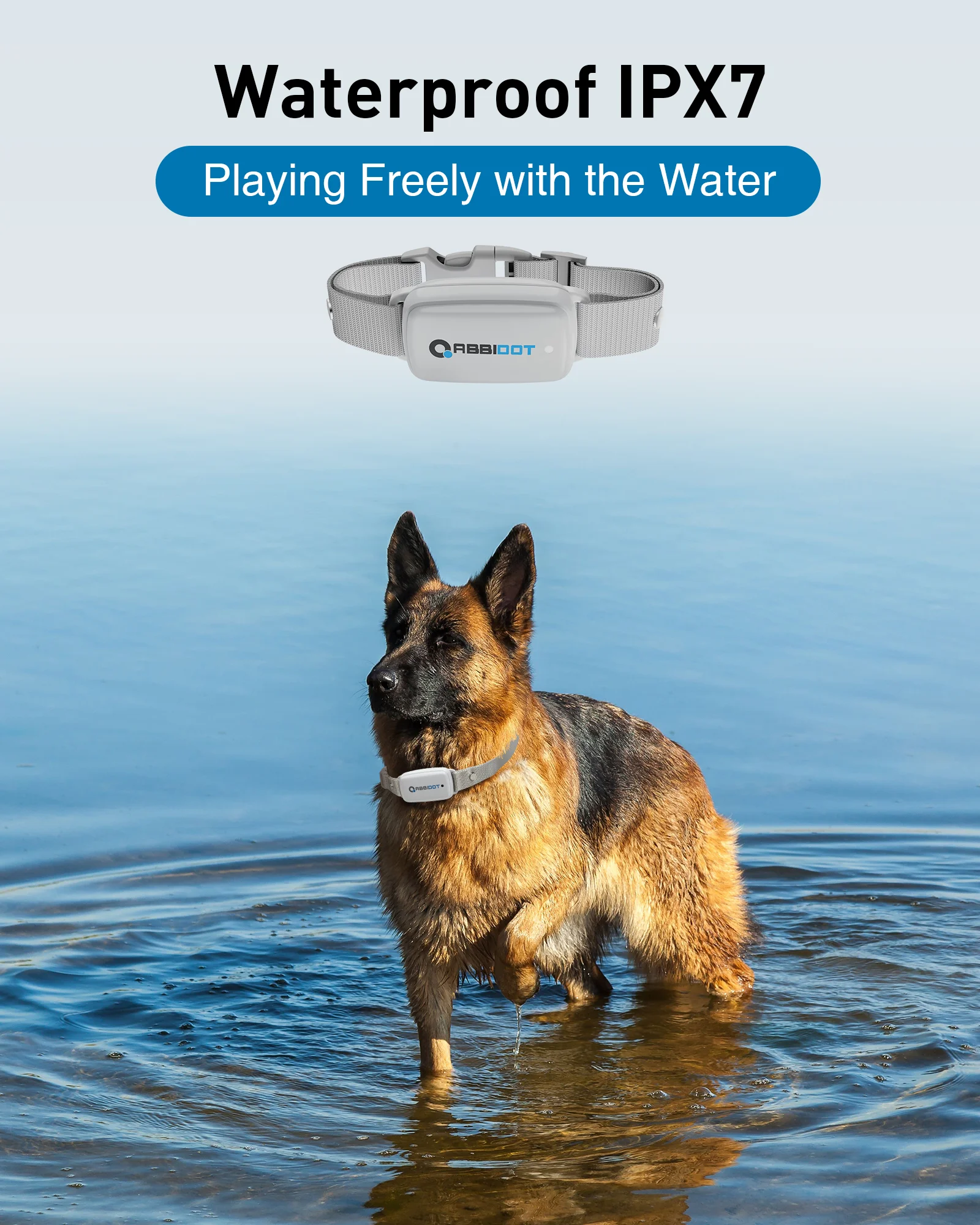 ABBIDOT-T30 Dog Training Electric Shock Collar for Large Dogs