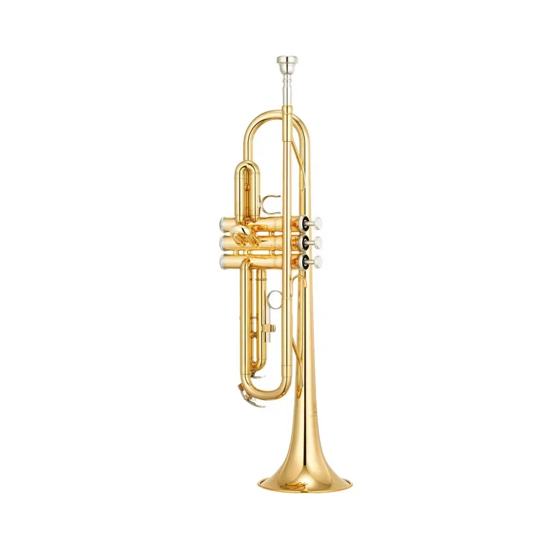 Yamaha YTR-200DR B Flat Trumpet Instrument for Students, Adults, Children and Beginners Playing and Grading Exams, Brass Version