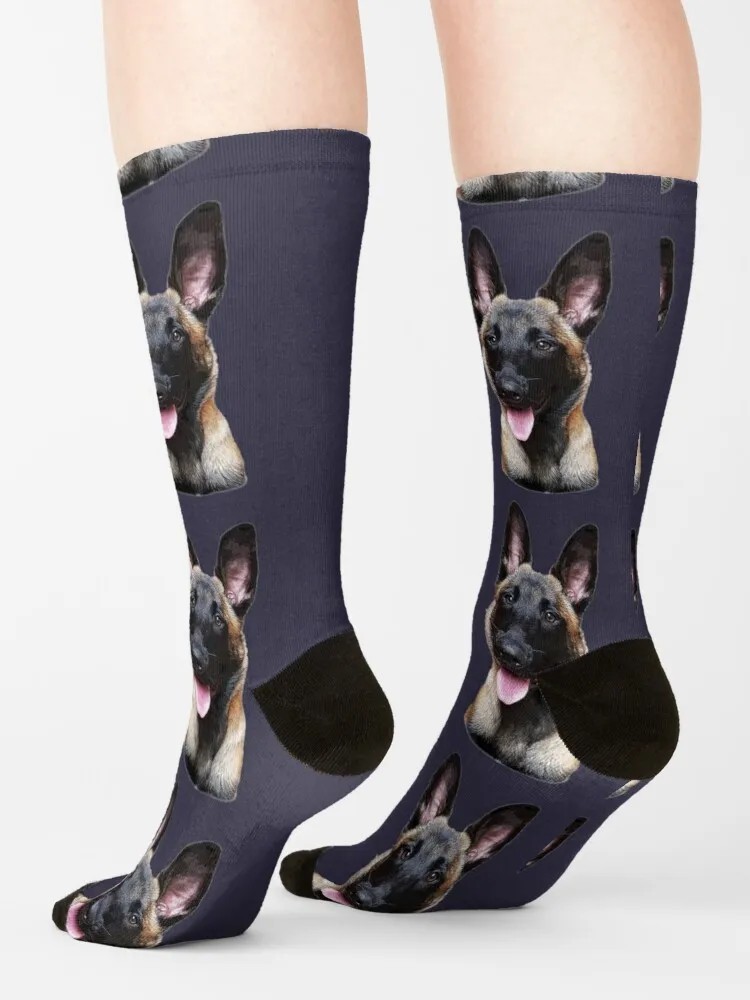 Belgian Malinois Puppy DogSocks Sport Socks Men Men'S Sock