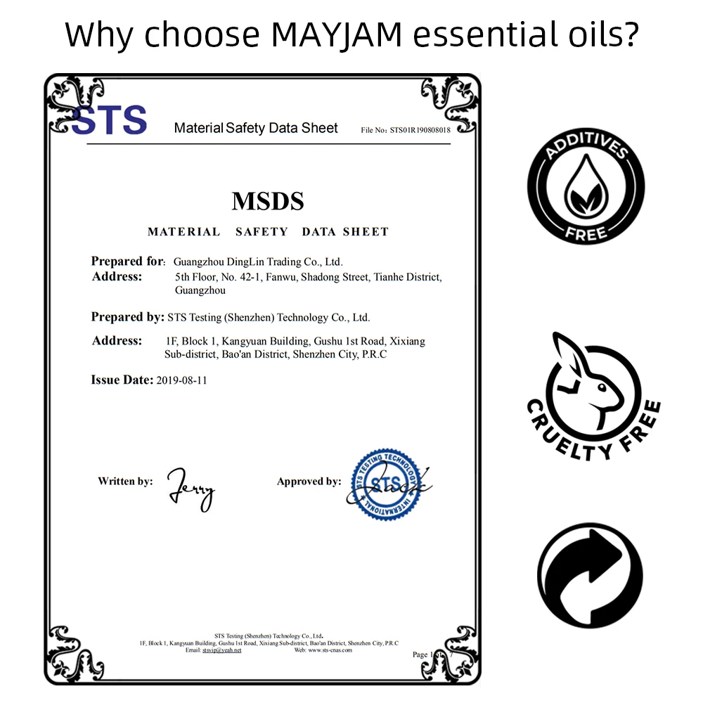 MAYJAM ǻ Ʒθ  , ó  ô ׶ Ƽ Ʈ  , 100ML