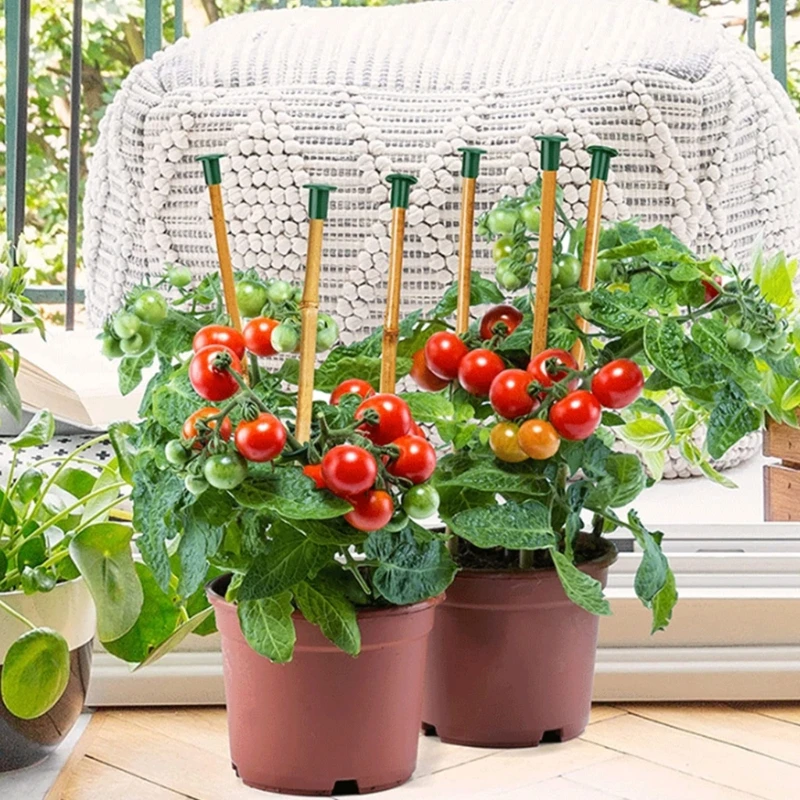 Durable PVC Canes Caps 36 Pieces For Protecting Plant And Ensuring Safe Gardening Cane End Covers Y5GB