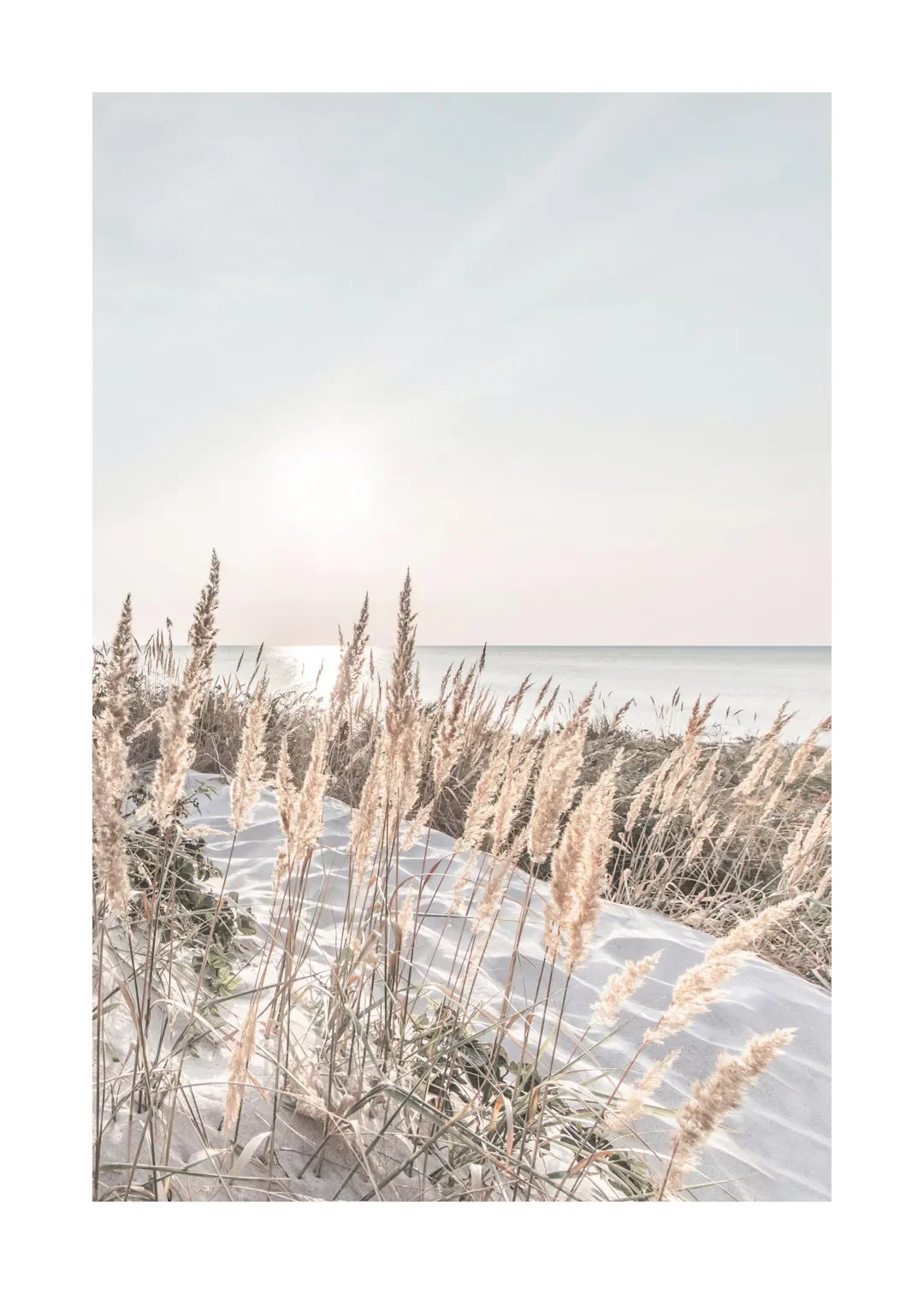 Tropical Blue Sea and White Sand Beach Canvas Wall Art