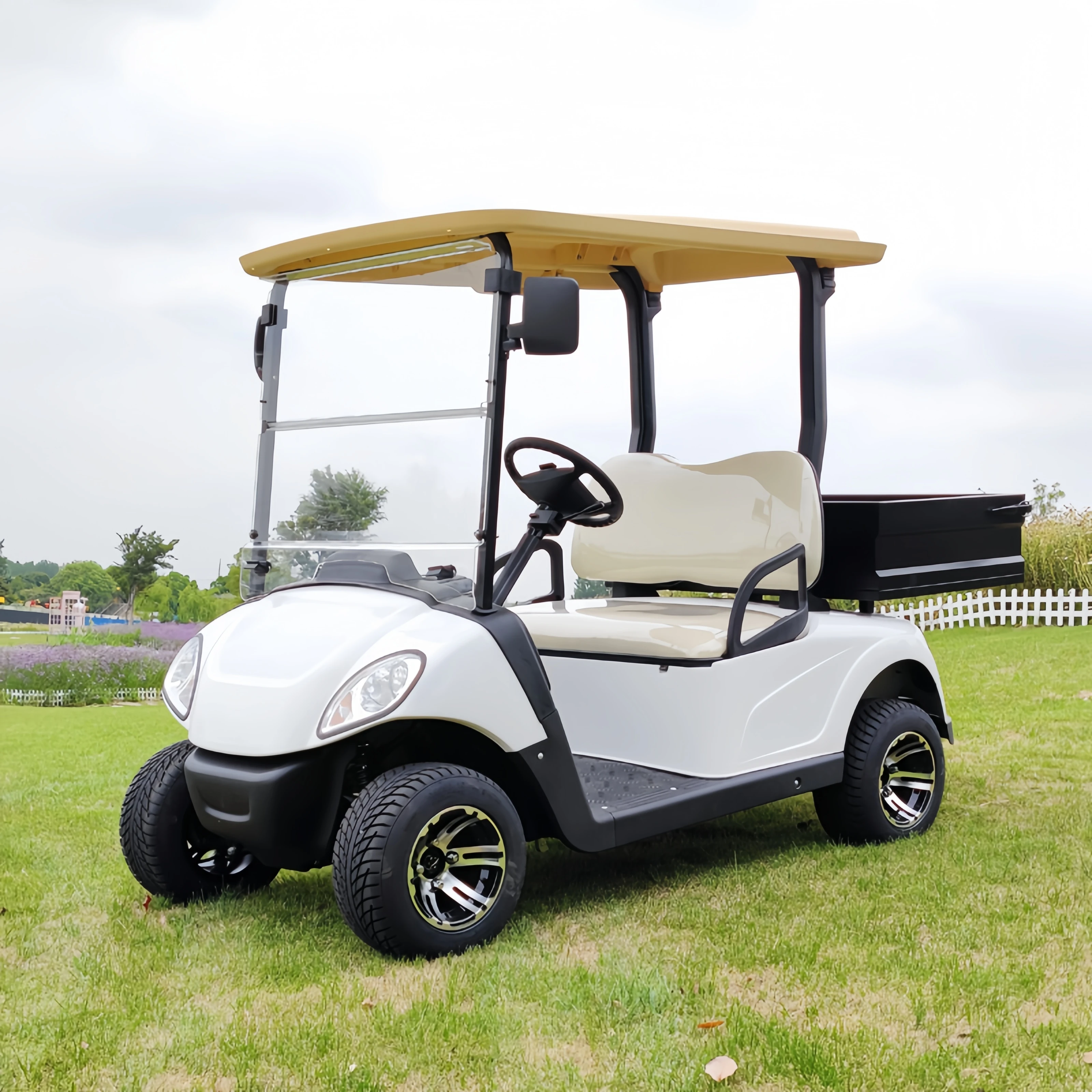 High quality 6-seater 4-wheel electric golf cart/ electric golf cart, off-road vehicle, hot selling cart