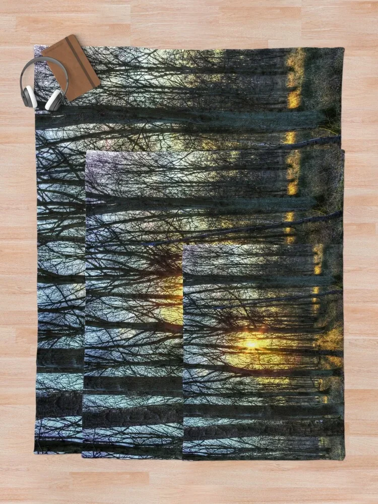 �̸� ��ħ �� ������ ���, ħ�� Ŀ��, �ʴ��� ������ ��� ���