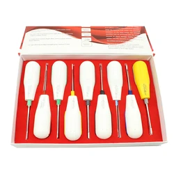 9Pcs Dental Minimally Invasive Tooth Elevator Dental Luxating Lift Curved Root Elevator Dentistry Surgical Screwdriver