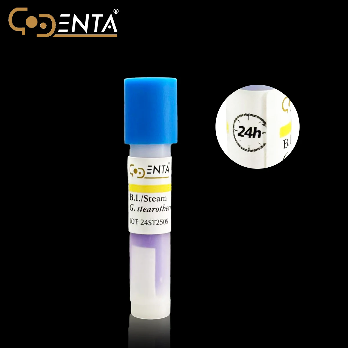 אינדיקטור ביולוגי לחיטוי אוטוקלאב דנטלי, רצועות בדיקת נקודות מהירות 24 שעות לחיטוי באמצעות אדים