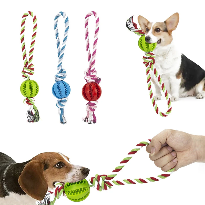 Top Balle Indestructible Pour Chiens - Comparatifs Et Avis