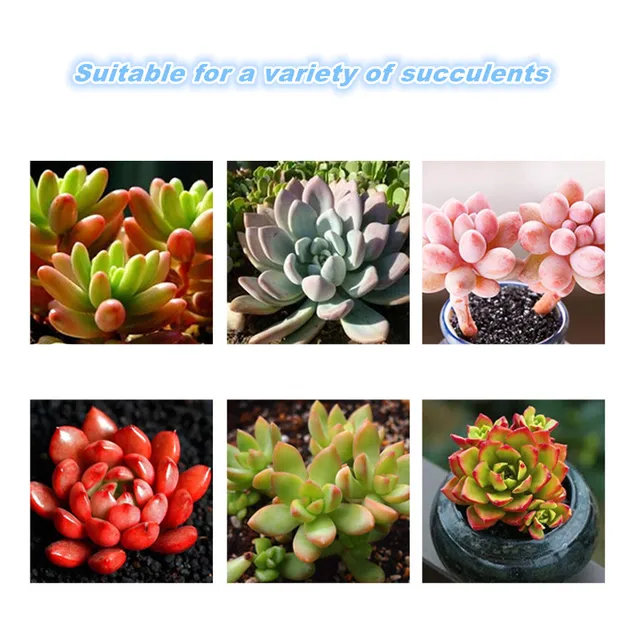 130 G Speciális, Ellenőrzött Kiadású Műtrágya Zamatos, Általános N-P-K Táplálkozáshoz Háztartási Cserepes Virágokhoz És Növényekhez - Image 5