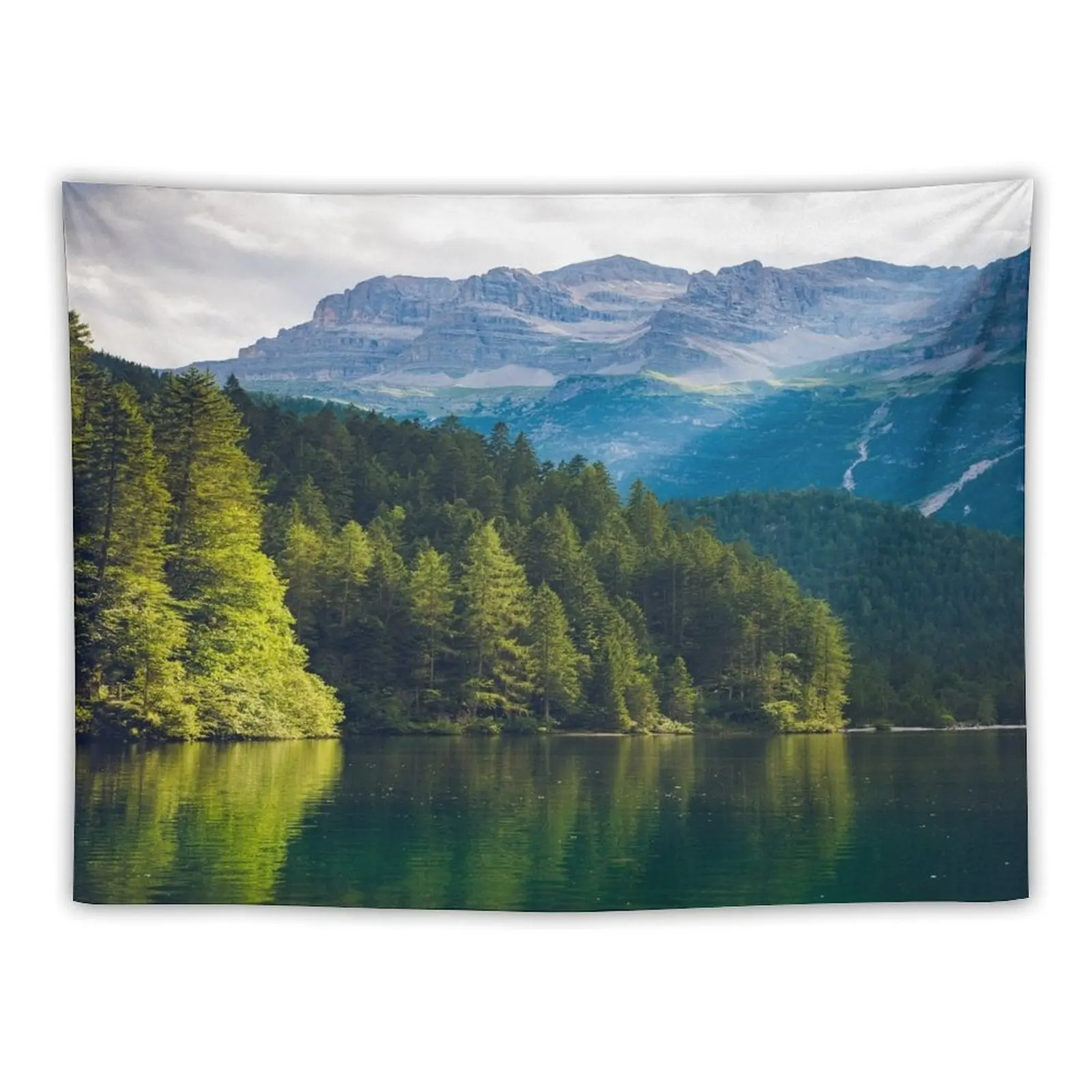 

Scenic View of Mountains and Green Forest Tapestry Nordic Home Decor Kawaii Room Decor Tapestry