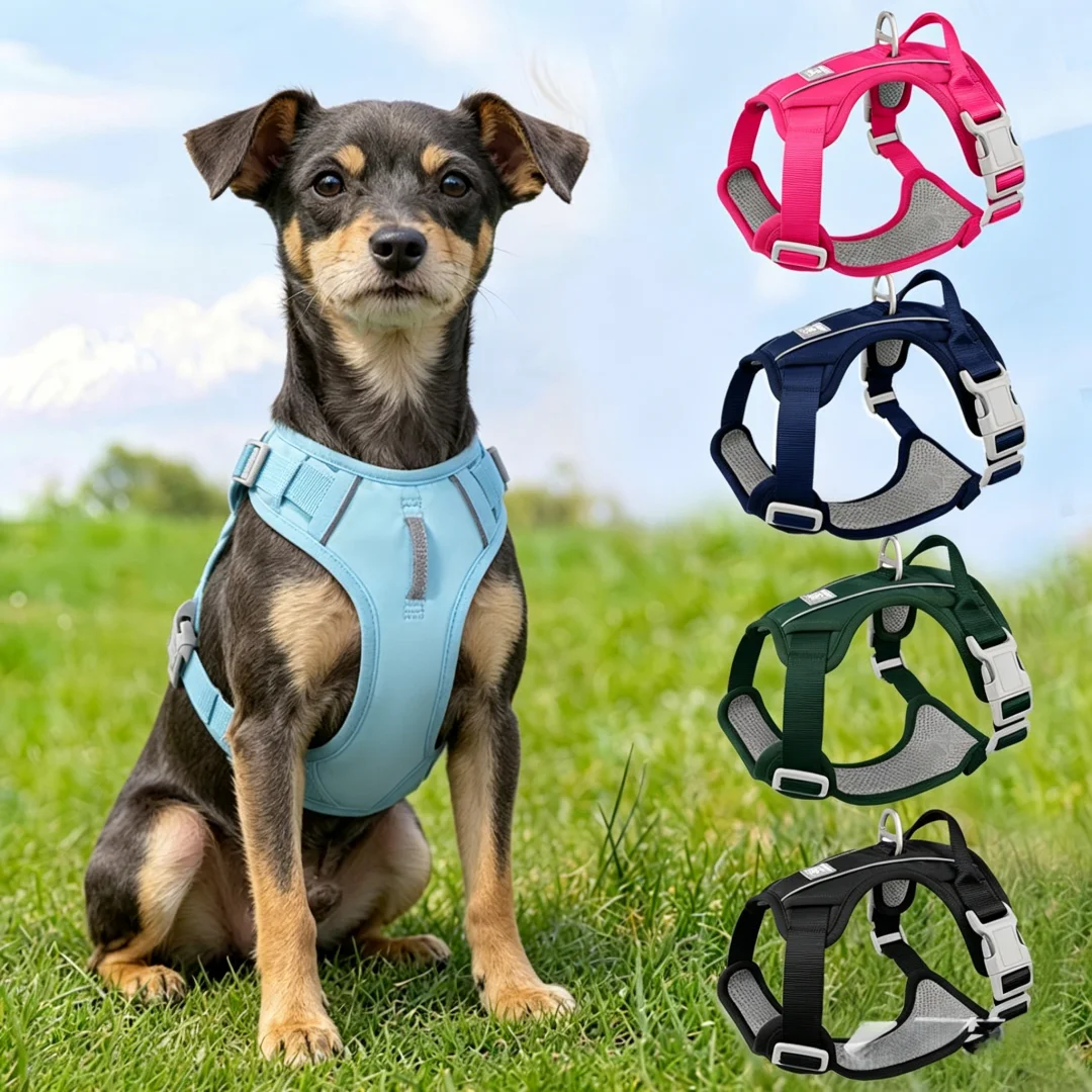 Pettorina per cani robusta con dettagli riflettenti_voghion.com