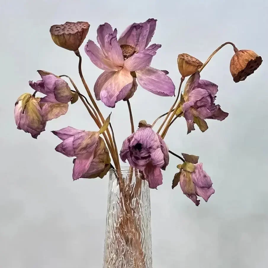 

Lotus Dried Flower Set /5 PCS Lotus Flower/ 3 PCS Lotus Pod With Stem Immortal Flower Decoration