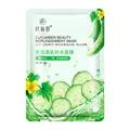 12pcs Cucumber