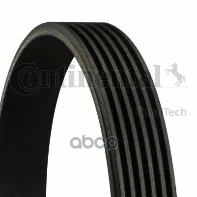 Belt polyv 6pk1836 ContiTech art. | Автомобили и мотоциклы
