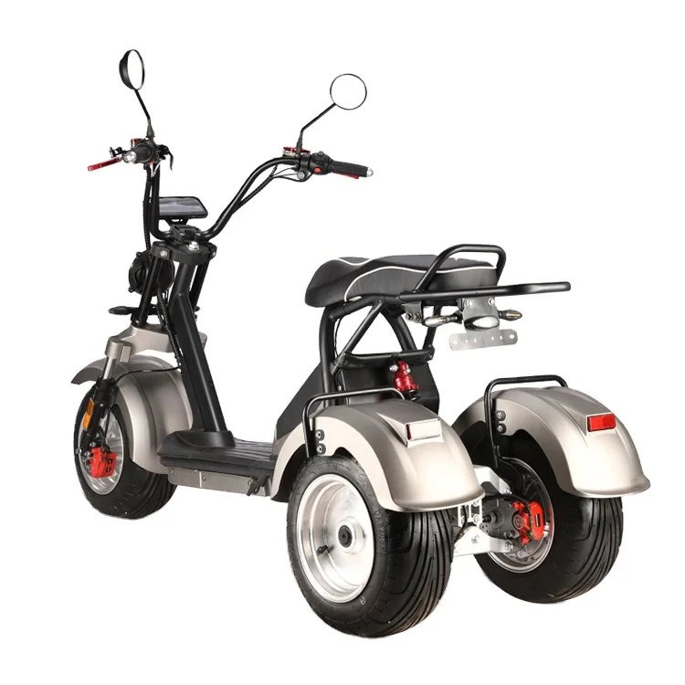 

electric bike adult electric tricycle from china 2*2000W dual motor 60V20AH/40AH Removable Lithium Battery with EEC/COC