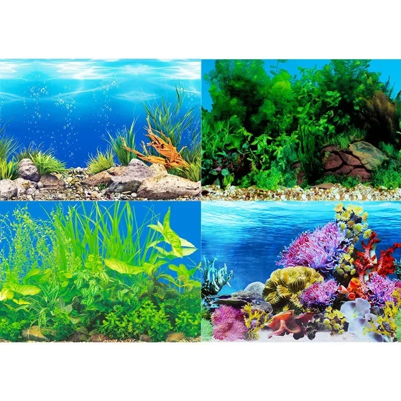 Background for Aquarium 3d 4