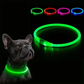 LED Light USB Rechargeable Dog Collar 1
