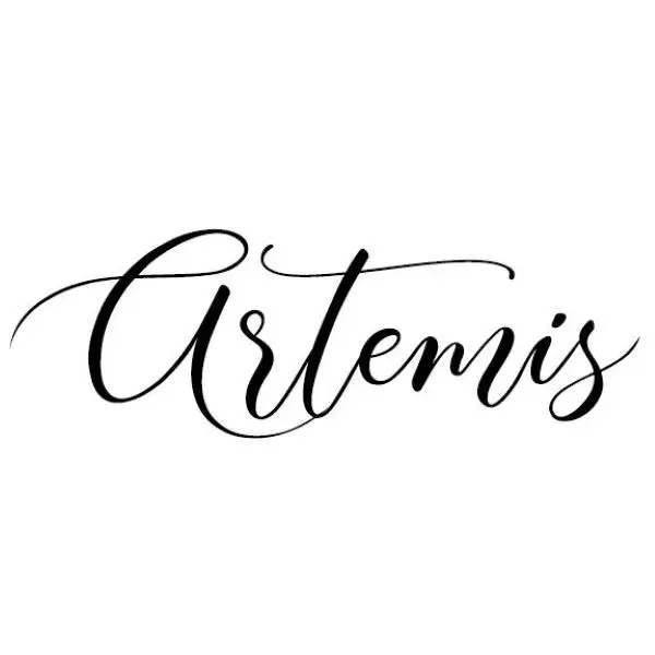 Artemis Photography Factory Store