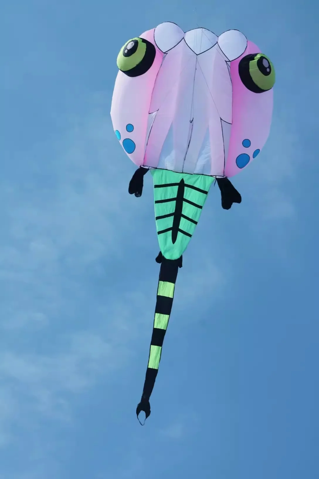 LED lifter kite tadpole 8 or 13 square MLS brand pilot flat tail show kite 30D Ripstop Nylon inflatable with remote control