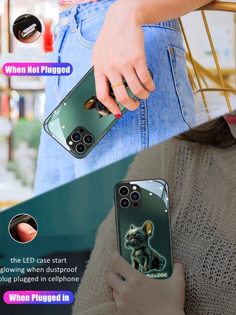 Cute French Bulldog LED Light Glowing Luminous Phone Case Birthday Gift for iPhone 11 12 13 14 15 X Xs Mini Pro Max Plus Cover