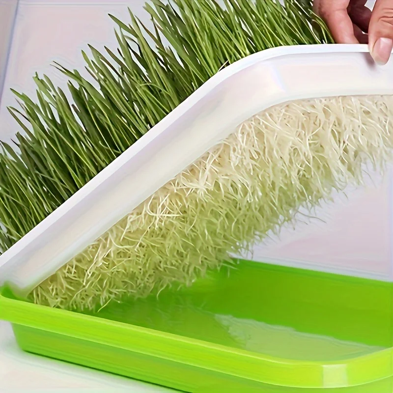 1/5pcs Seed Germination Tray Set Hydroponic Germination Pot For Sprout Horticultural Hydroponic Systems Tray Garden