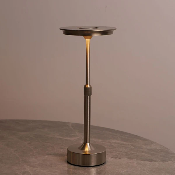 Geborsteld Zilver