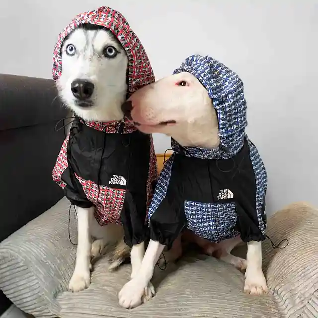 Storm Coat For Dogs Cheapest Retailers