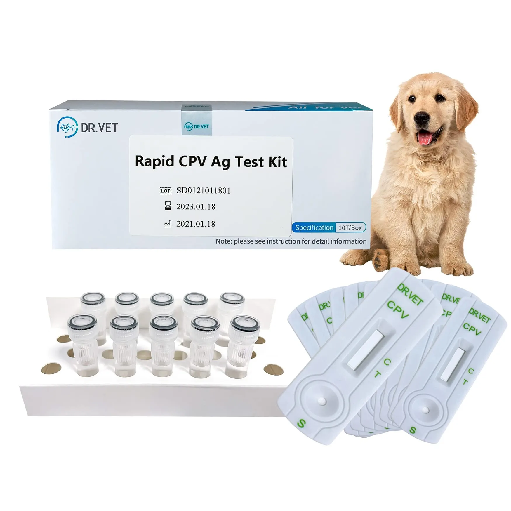 Canine Parvovirus Cpv Veterinary Diagnostic Tools Animal Hospital Home