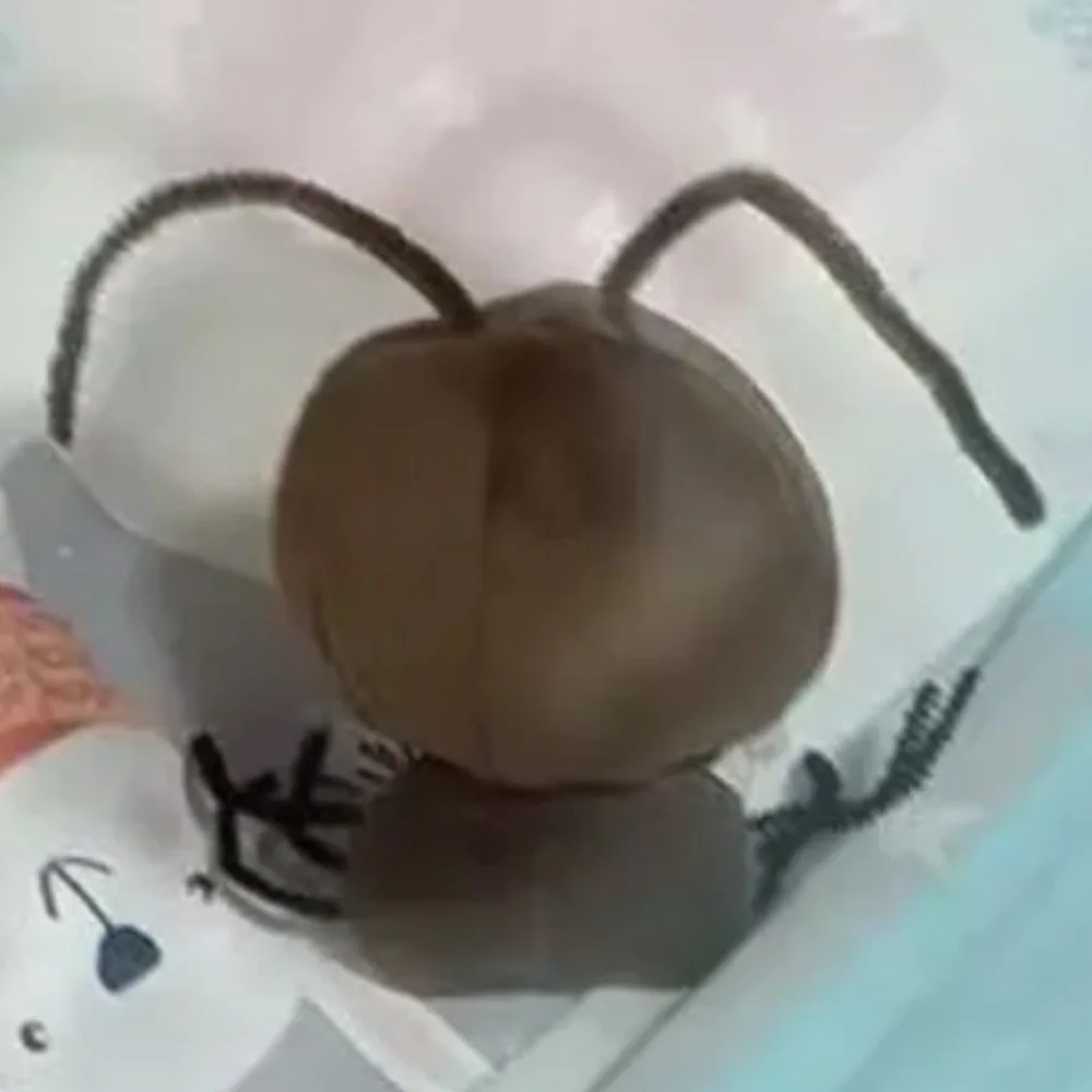 No Attributes Clothes Cockroach 10cm Cotton Clothes Lovely Suit Clothes Outfit Funny Creative Dress Up Set Accessories