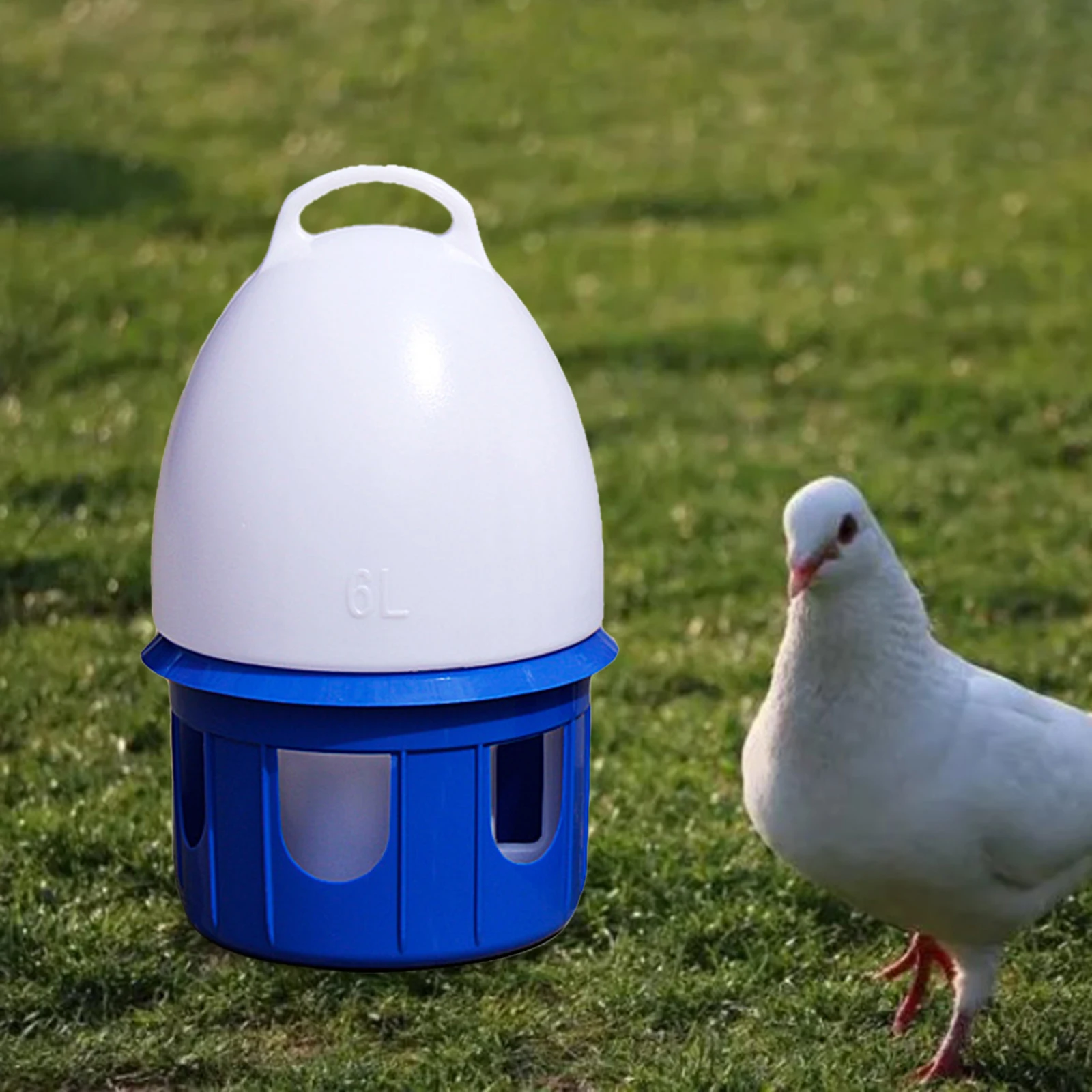 Bird Water Drinker Large Capacity Automatic Bird Water Dispenser Drinker Water Bottle Cage Accessories Feeding Pigeon Waterer for Dove Duck