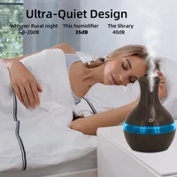 300ml Aromatherapy Humidifier  Whisper Quiet Cool Mist Diffuser for Home, Office  USB Powered, Essential Oil Compatible, Stylish 3