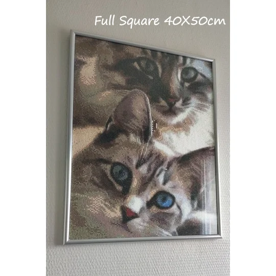 Diamond Painting Kit Evershine Diamond Embroidery Cat 5D DIY Animals Cross Stitch for Home Decoration