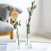 Vase Ornaments   Living Room Flower Arrangements  Niche Glass Bottles  Transparent Mini Fine Mouthful Water Nourishment 3