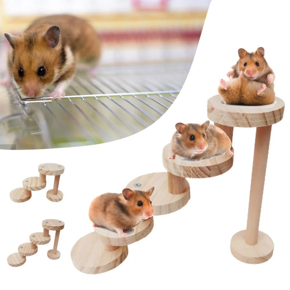 4. Wooden Climbing Ladders as Hamster Toys