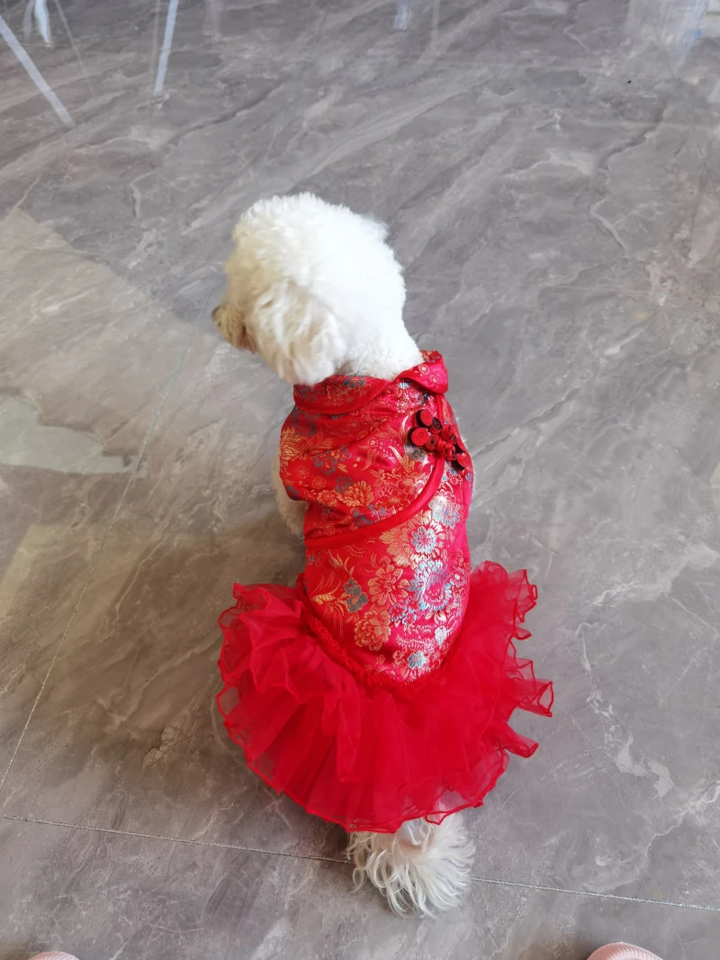 Vestidos para cães