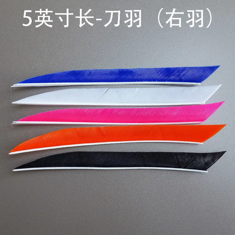 50 PCs/Lot 5" Traditional Kyudo Feather Archery Fletches Real Turkey Feathers Right Wing 4