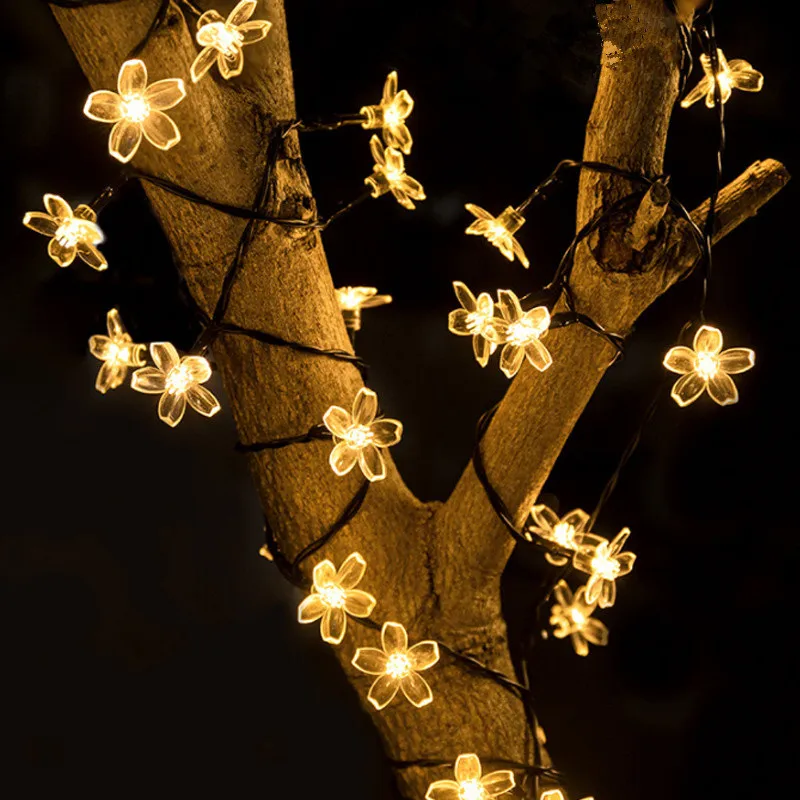 Solar Fairy String Light 6