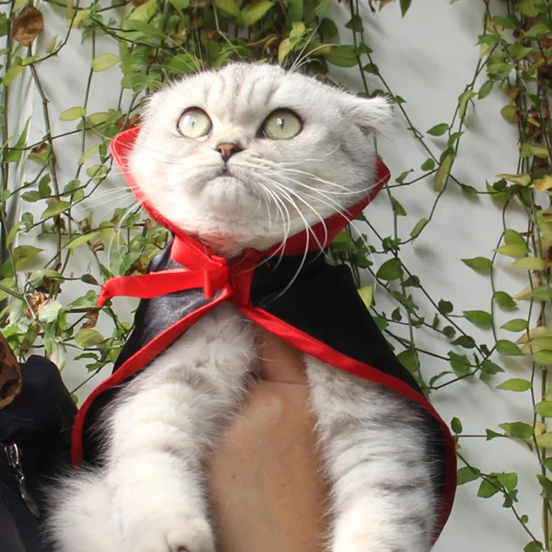 

Хэллоуин костюмы шаль попугай теплая накидка для домашних животных собака кошка маленький