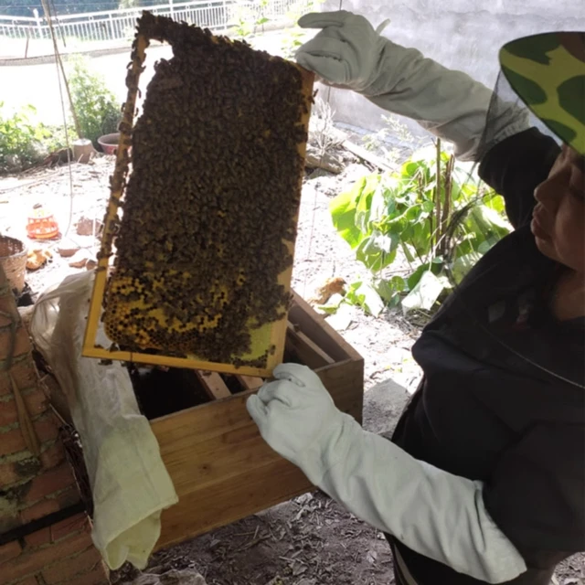 Méhészeti Kesztyűkesztyűkesztyű-Ellenes Vászon Kesztyű Védő Ujjait Lélegző Méhész Eszközökhöz 1 Pár - Image 5