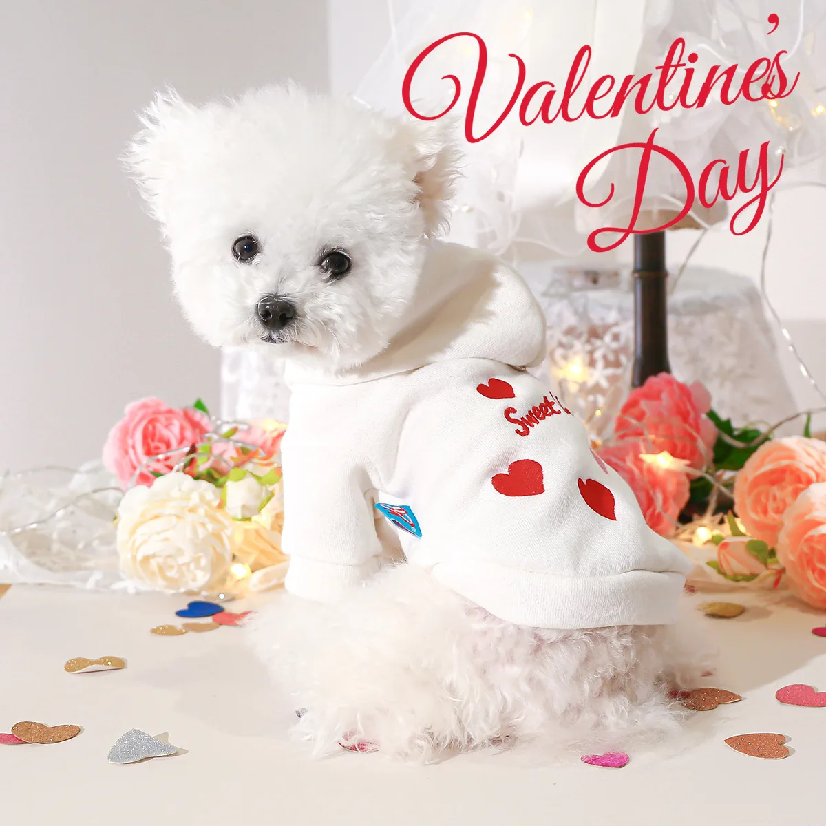 Seac49c06d8f34f2b9c6d2956191302531