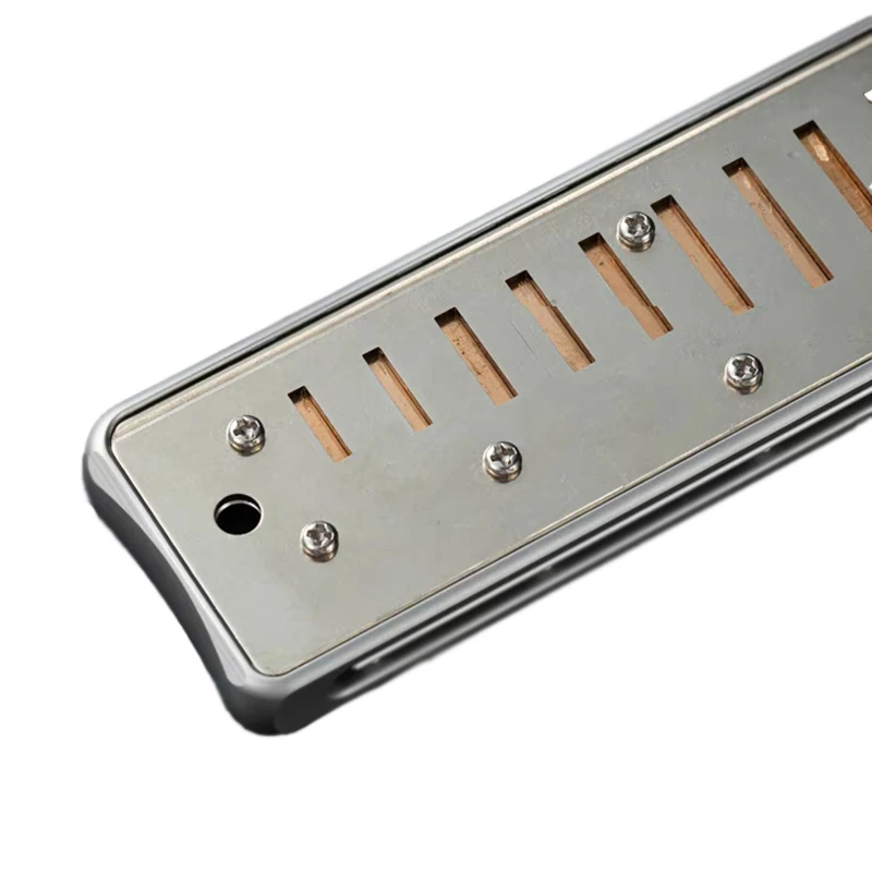 Diatonic Harmonica 10 Holes Blues Musical Instrument diatonic harmonica
